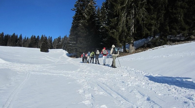 Ballades Raquettes a Neige avec le Club Alpin de Nancy Raquettes a Neige
